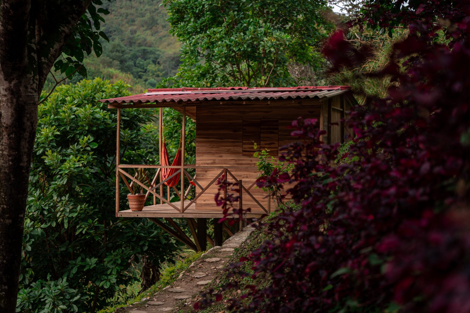 cabaña 